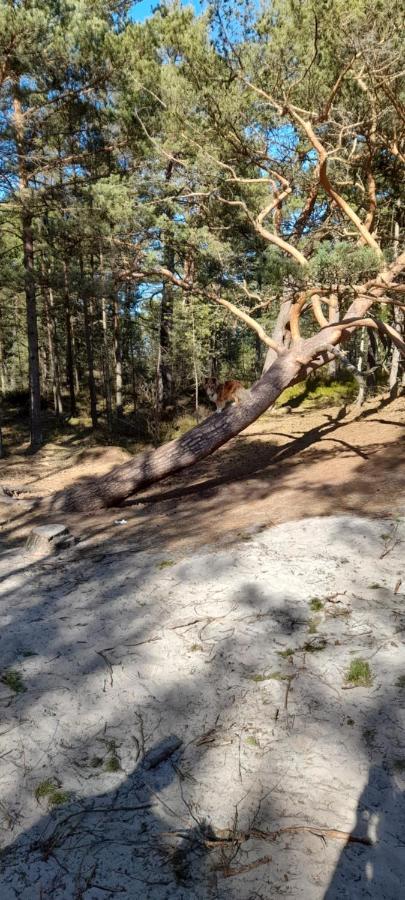 Domek Letniskowy Wczasy Nad Morzem Sasino Exterior foto